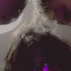 Meet your Posher, Nella